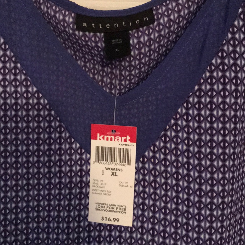 Blue Blouse - Picture 4 of 4